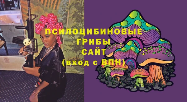 гидра Беломорск