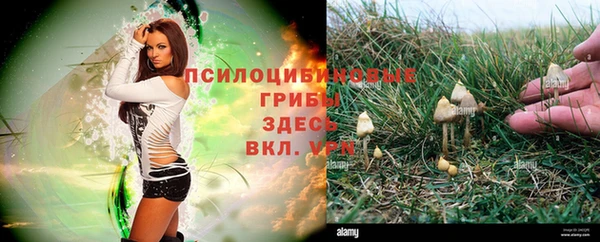 кокаин колумбия Белокуриха
