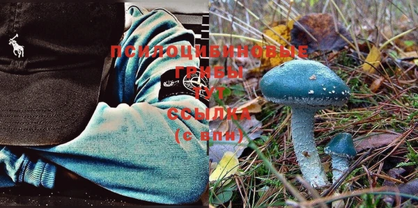 кокаин колумбия Белокуриха