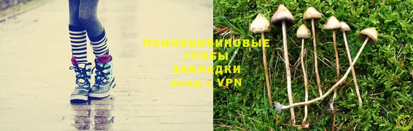 гидра Беломорск